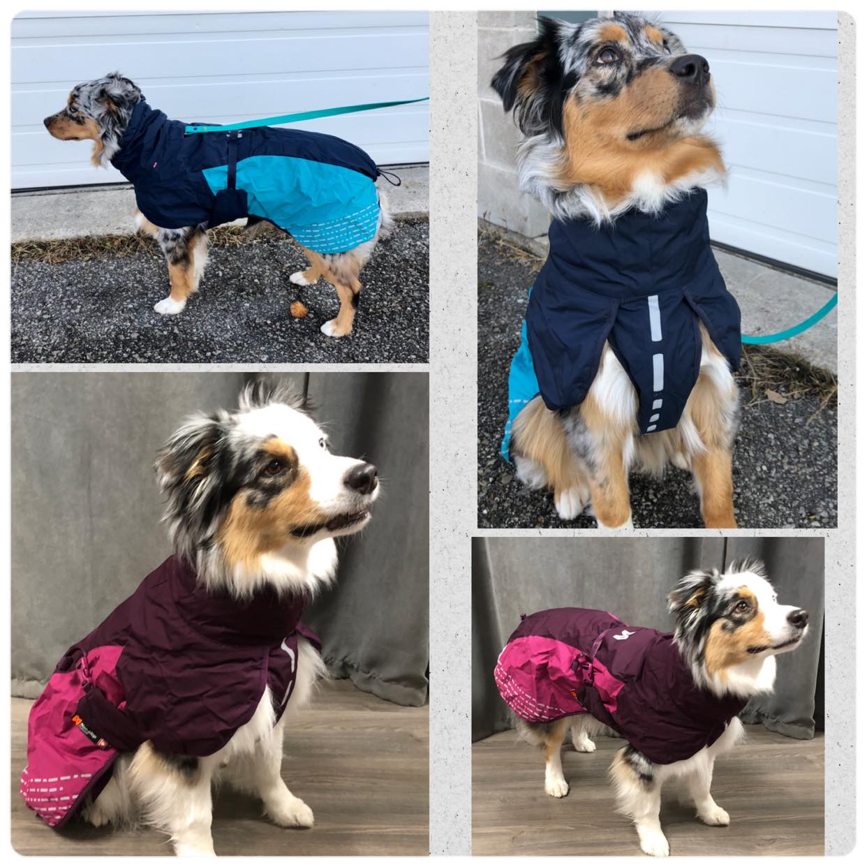 Glacier Jacket 2.0