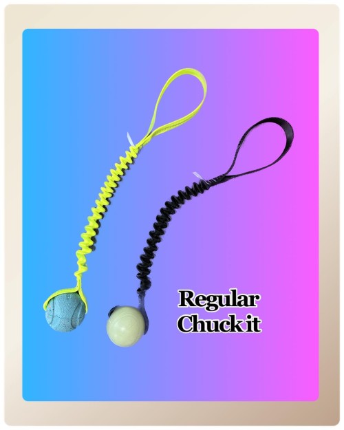 Chuck-it Bungee Ball Plus