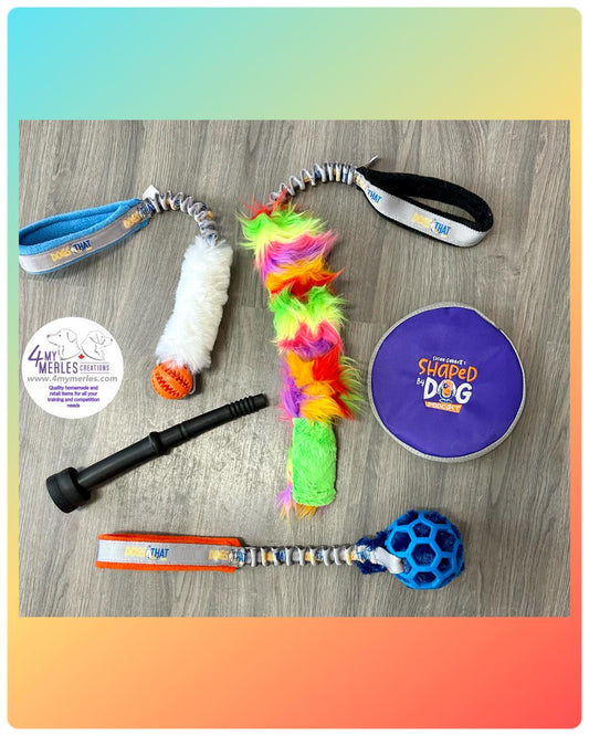 Directional Bundle