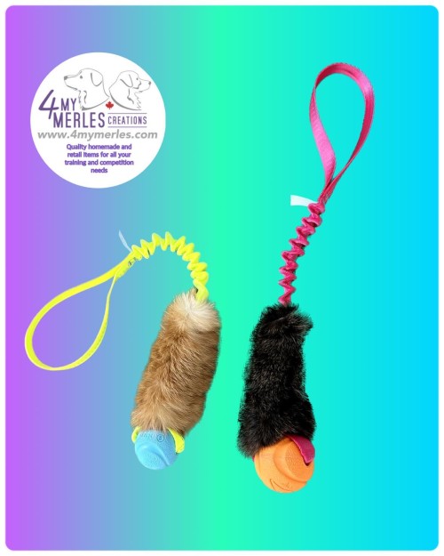 Chuck-it Bungee Ball Plus