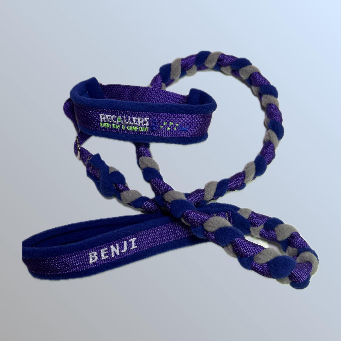 Dogs That / Say Yes Slip Leashes
