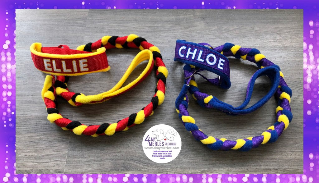 Braided Slip Collar Leash