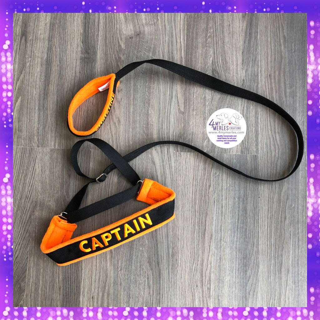 Slip Collar Leash with Poly Webbing