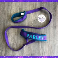 Slip Collar Leash with Poly Webbing