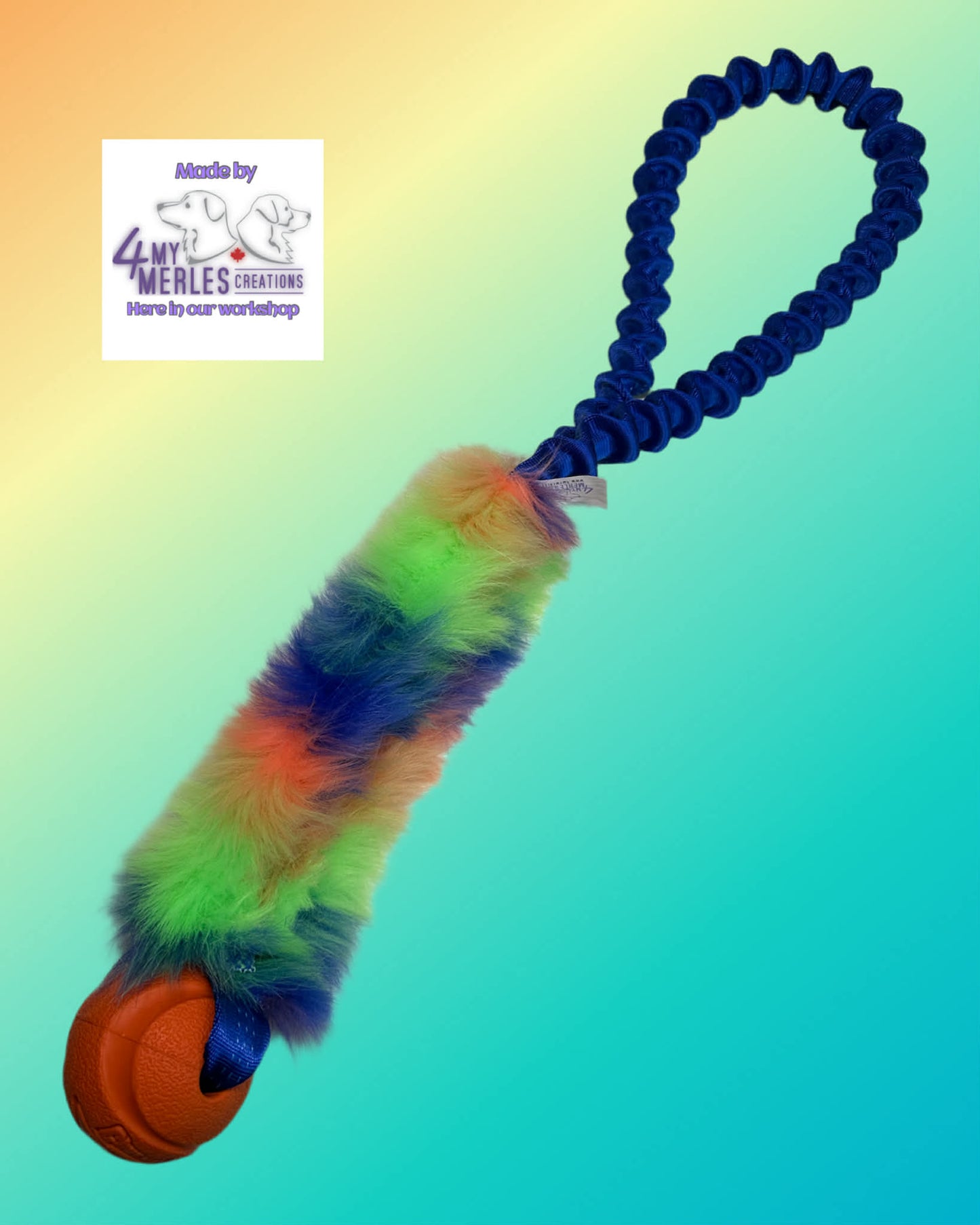 Chuck it Earth Ball (Limited Edition)