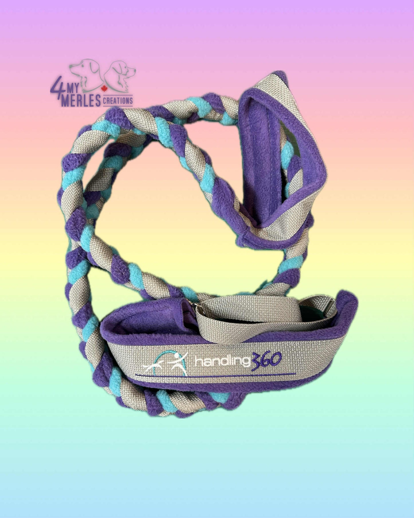 Dogs That / Say Yes Slip Leashes