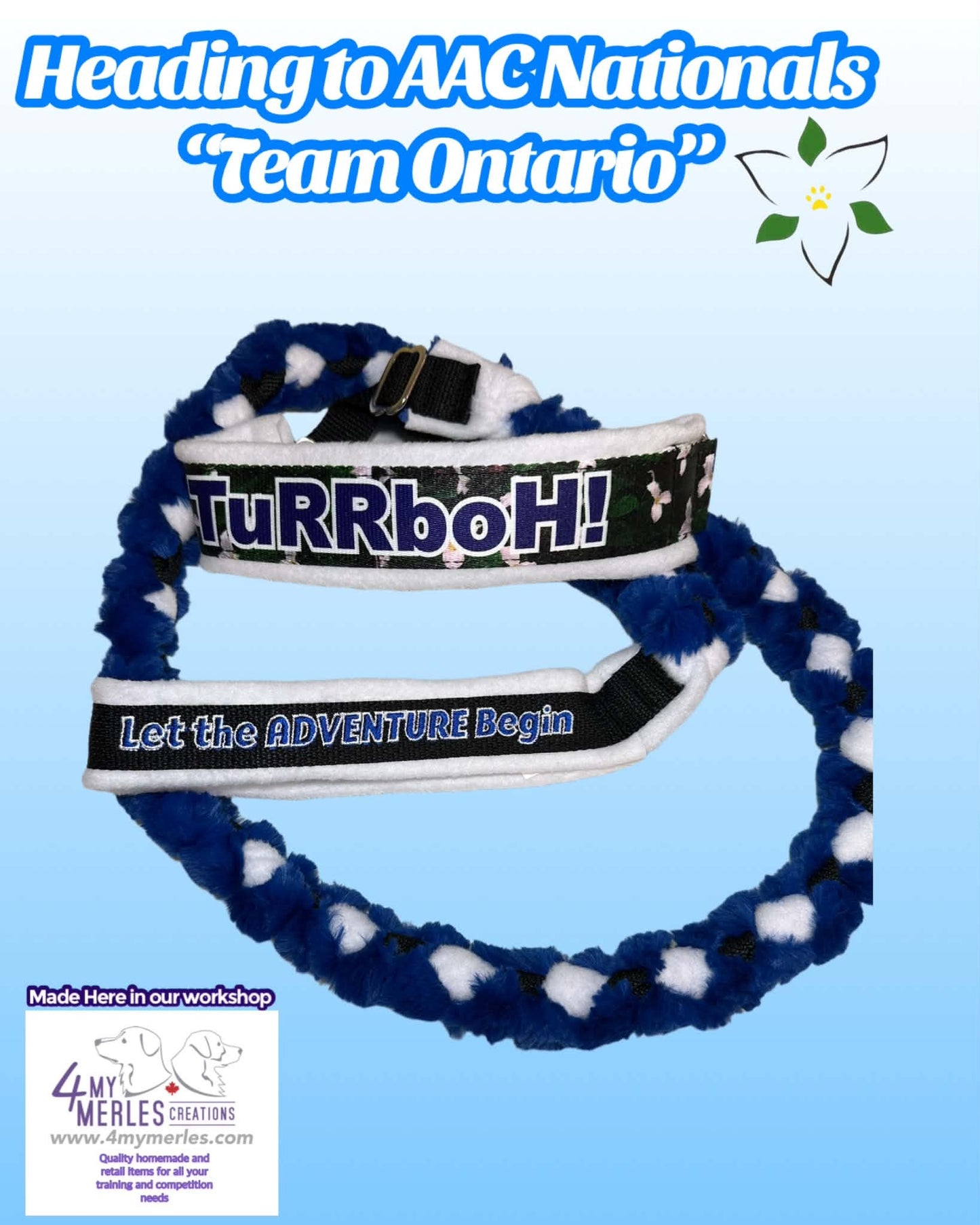Nationals Ontario Team Leash
