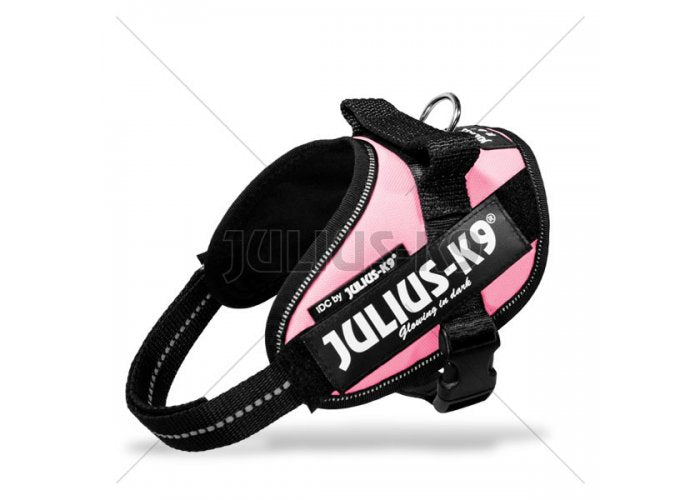 Julius K9-IDC powerharnesses