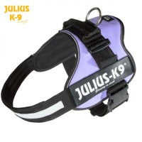 Julius K9-IDC powerharnesses