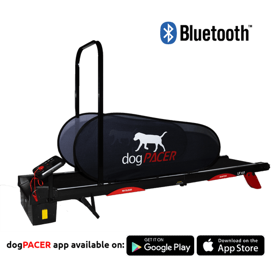 DogPacer 4.0 Treadmill