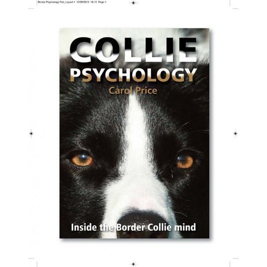 Collie Psychology – Inside the Border Collie Mind