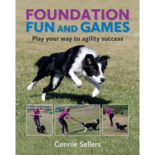 FOUNDATION FUN AND GAMES