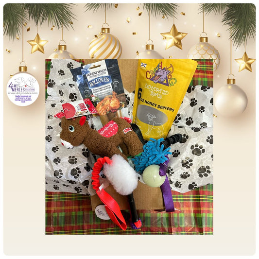 Pawliday Family  Box