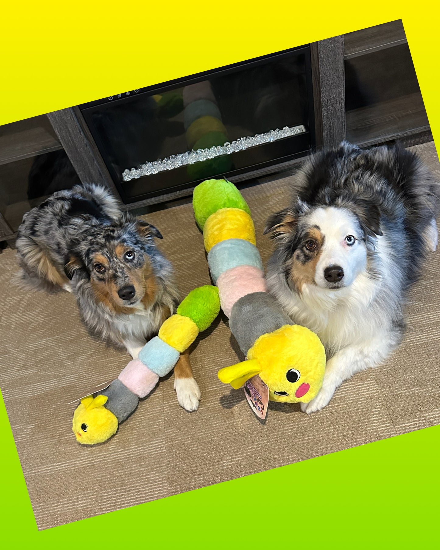 Gor Hugs Mommy Caterpillar