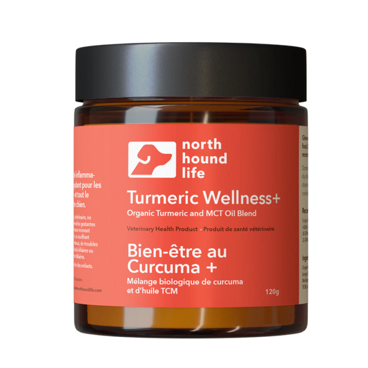 Tumeric Wellness+