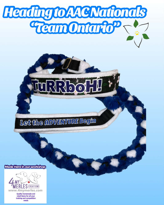 Nationals Ontario Team Leash