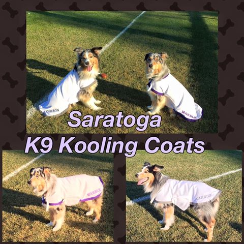 Saratoga Cool Coats